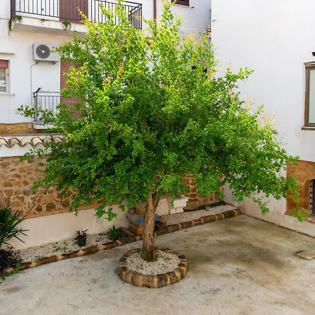 Appartement Assammichele